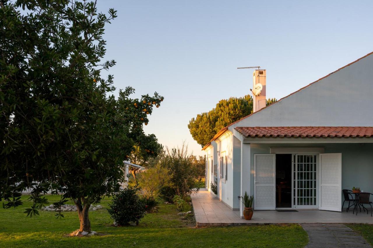 Na Quinta- Alojamento Rural Com Piscina De Agua Salgada Poceirao Dış mekan fotoğraf