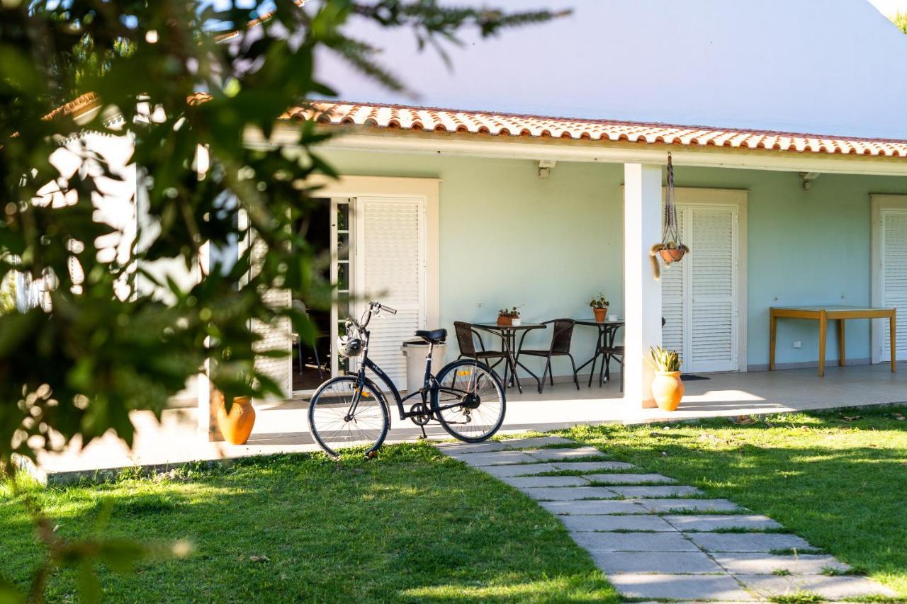 Na Quinta- Alojamento Rural Com Piscina De Agua Salgada Poceirao Dış mekan fotoğraf