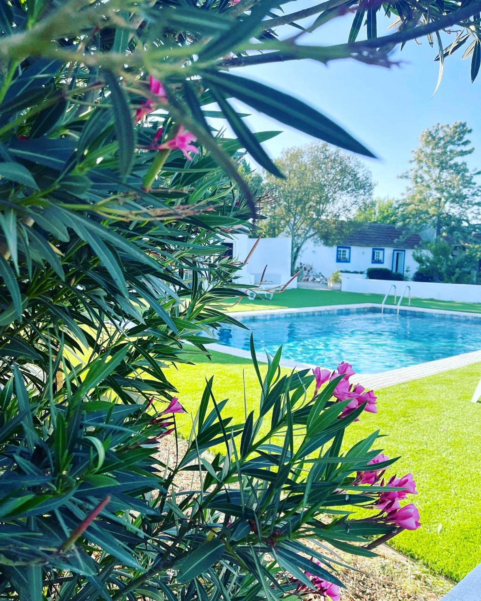 Na Quinta- Alojamento Rural Com Piscina De Agua Salgada Poceirao Dış mekan fotoğraf