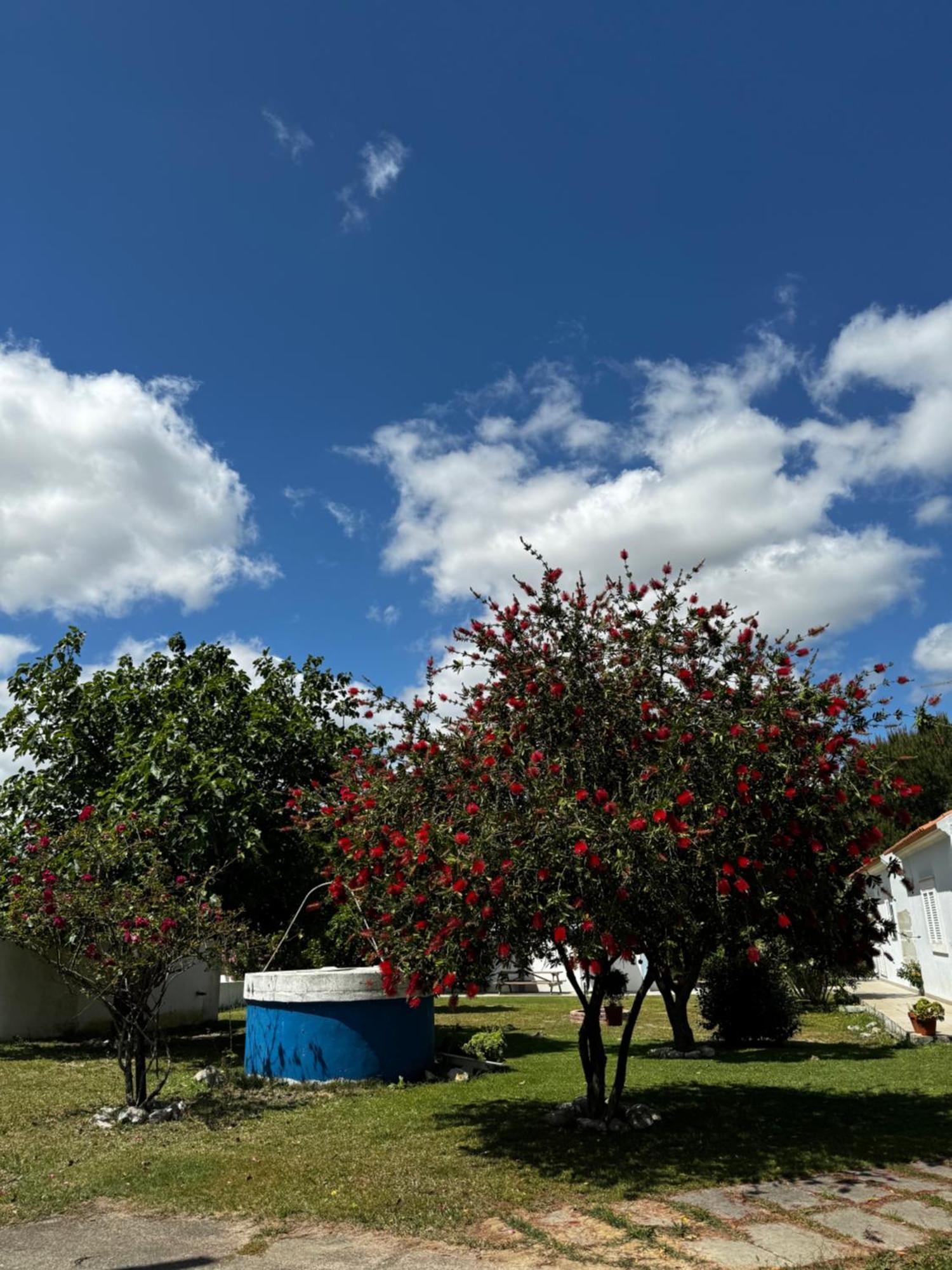 Na Quinta- Alojamento Rural Com Piscina De Agua Salgada Poceirao Dış mekan fotoğraf