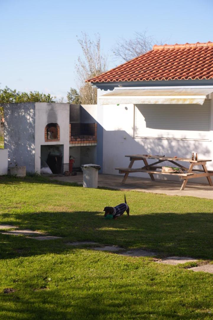 Na Quinta- Alojamento Rural Com Piscina De Agua Salgada Poceirao Dış mekan fotoğraf